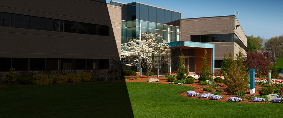 Hyattsville Landscapers