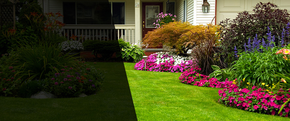 Hyattsville Landscapers