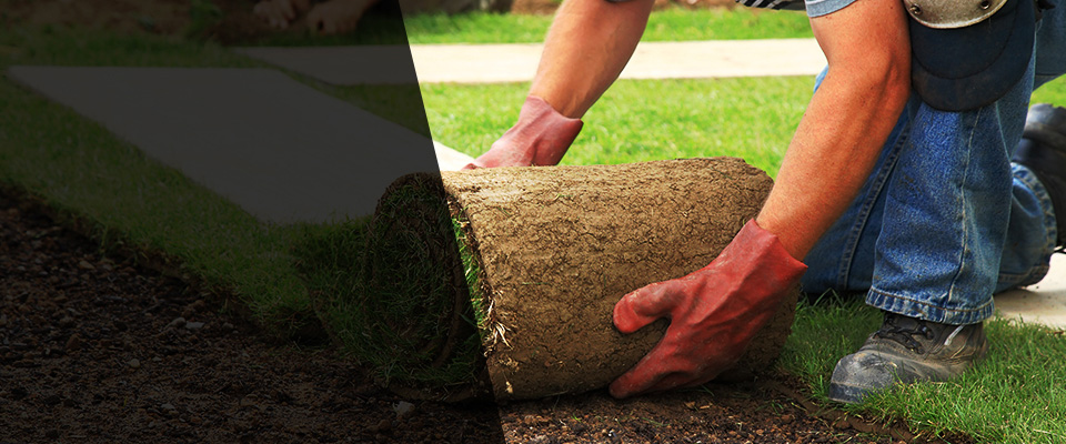Hyattsville Landscapers